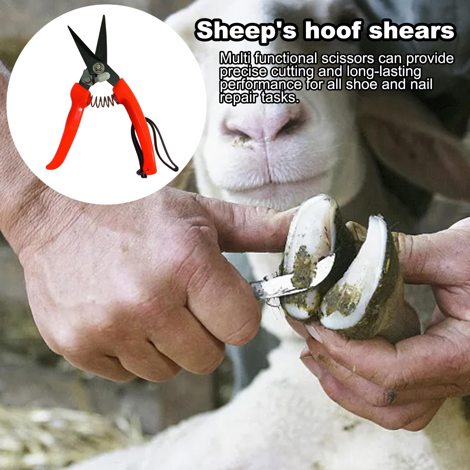 Cortador de Cascos de Cabra Er - Woodworking Horse avaliação e preço