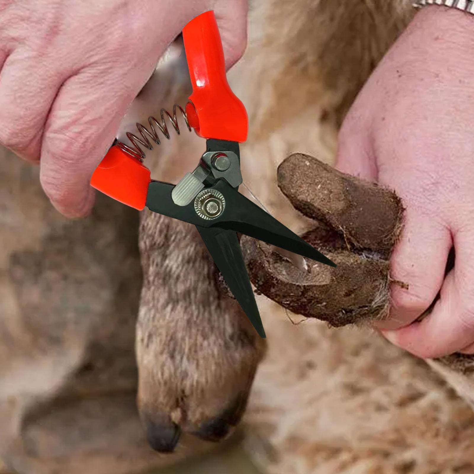 Cortador de Cascos de Cabra Er - Woodworking Horse avaliação e preço