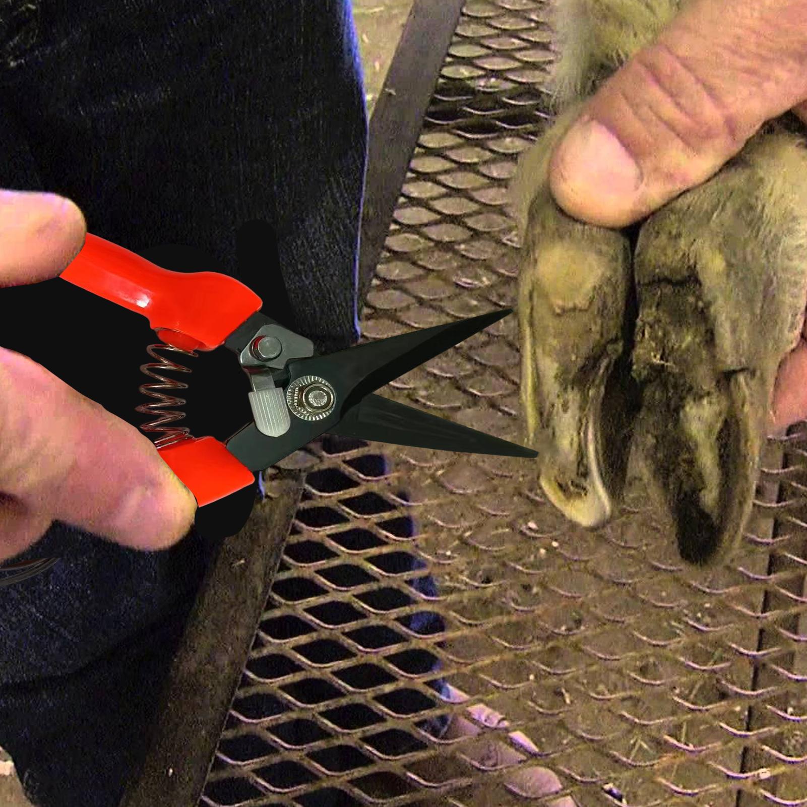 Cortador de Cascos de Cabra Er - Woodworking Horse avaliação e preço